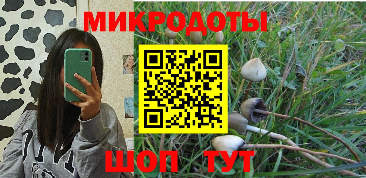 Псилоцибиновые грибы GOLDEN TEACHER Железногорск