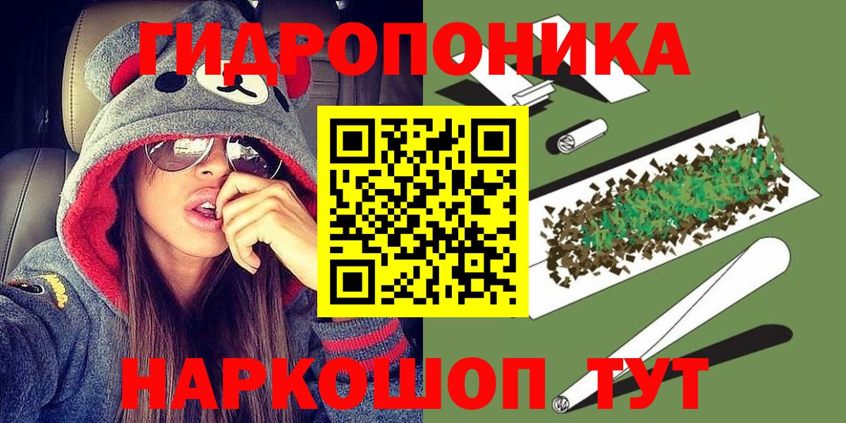 Бошки Шишки план Железногорск